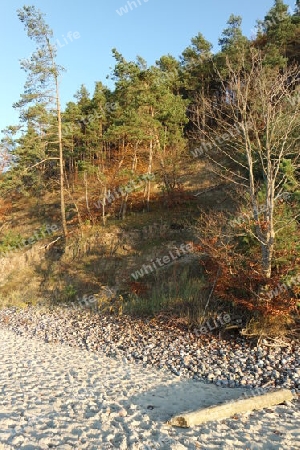 Herbst im Nationalpark Wolin