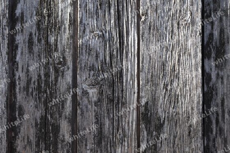 Detailed close up view on different wood surfaces showing planks logs and wooden walls in high resolution