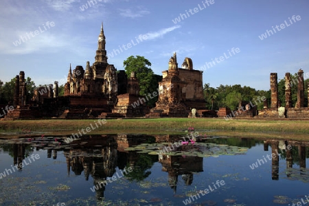 Der Wat Mahathat Tempel in der Tempelanlage von Alt-Sukhothai in der Provinz Sukhothai im Norden von Thailand in Suedostasien.