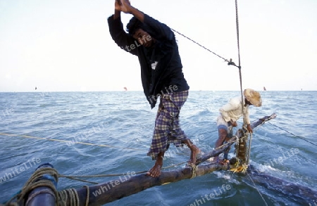 Asien, Indischer Ozean, Sri Lanka,
Ein traditionelles Fischerboot mit Fischern im Kuestendorf Negombo an der Westkueste von Sri Lanka. (URS FLUEELER)






