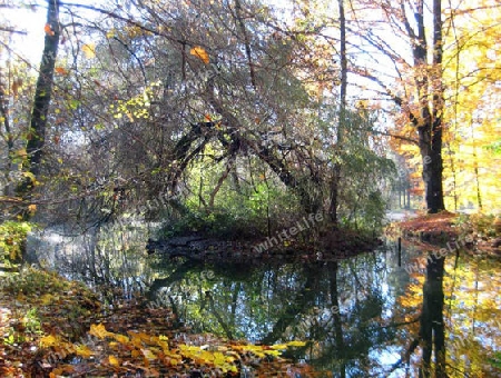 Englischer Garten M?nchen