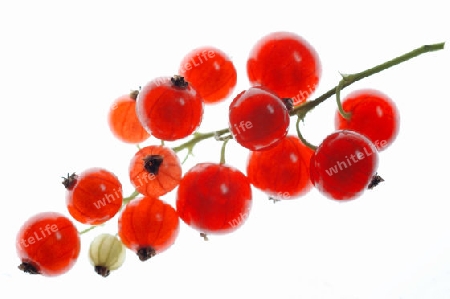 Johannisbeeren