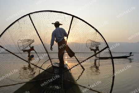 Fishermen at sunrise in the Landscape on the Inle Lake in the Shan State in the east of Myanmar in Southeastasia.