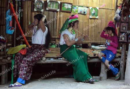 Eine Traditionell gekleidete Langhals Frau eines Paudang Stammes aus Burma lebt in einem Dorf noerdlich von Chiang Mai in Nord Thailand.