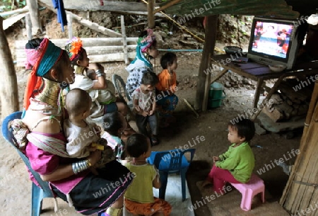 Eine Traditionell gekleidete Langhals Frau eines Paudang Stammes aus Burma lebt in einem Dorf noerdlich von Chiang Mai in Nord Thailand.