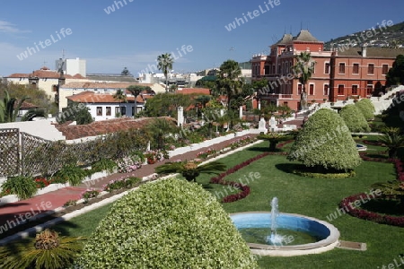 The Victoria Garten in the Town of La Orotava on the Island of Tenerife on the Islands of Canary Islands of Spain in the Atlantic.  