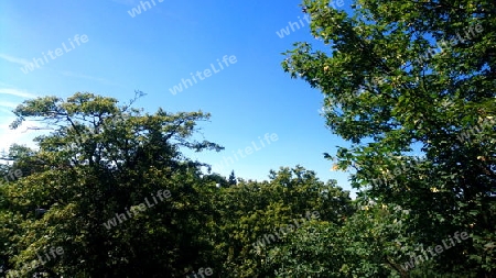 Himmel,Blau,Ausblick,Natur