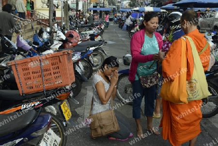 Das Stadtzentrum von Phuket Town beim Day Markt auf der Insel Phuket im sueden von Thailand in Suedostasien.