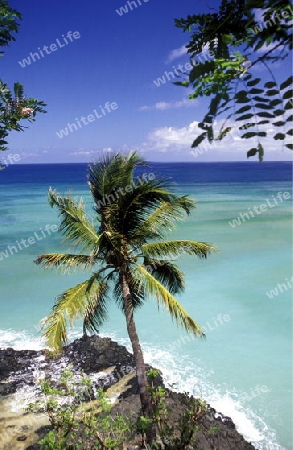 the beach of the village Moya on the Island of Anjouan on the Comoros Ilands in the Indian Ocean in Africa.   