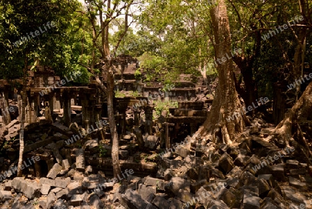 The Tempel Ruin of  Beng Mealea 32 Km north of in the Temple City of Angkor near the City of Siem Riep in the west of Cambodia.