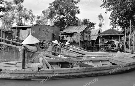 Mekong Delta