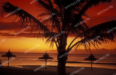 Ein Sandstrand an der Westkueste von Mauritius im Indischen Ozean. 