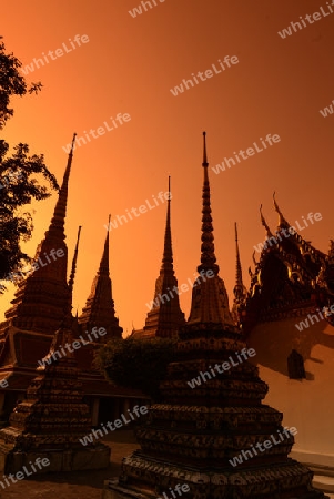 Die Tempelanlage des Wat Pho in der Hauptstadt Bangkok von Thailand in Suedostasien.