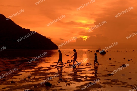 A Beach on the Island of Ko PhiPhi on Ko Phi Phi Island outside of the City of Krabi on the Andaman Sea in the south of Thailand. 