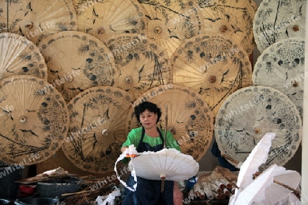 Die traditionelle Papierschirm Produktion in Chiang Mai im  Norden von Thailand.