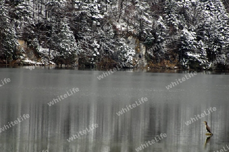 Stiller Winter am See