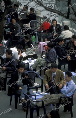 Chinese People siting in Tea House in the city of Chengdu in the provinz Sichuan in centrall China.