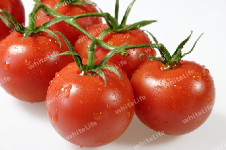 Frische Tomaten