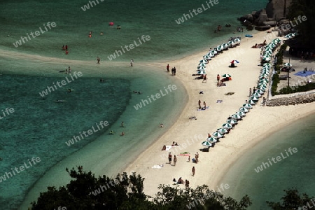 Die Strand und Insellandschaft auf der Insel Koh Naang Yuan neben der Insel Ko Tao im Golf von Thailand im Suedwesten von Thailand in Suedostasien. 