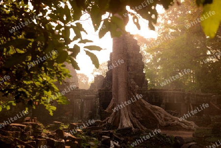 The Temple of  Banteay Kdei in the Temple City of Angkor near the City of Siem Riep in the west of Cambodia.