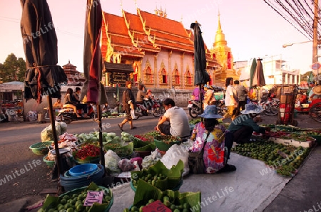 Der Markt vor dem Wat Mung Muang am Morgen in der Altstadt von Chiang Rai in der Provinz chiang Rai im Norden von Thailand in Suedostasien.