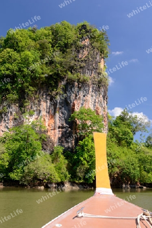 The mangroves at a lagoon near the City of Krabi on the Andaman Sea in the south of Thailand. 