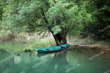 Europa, Osteuropa, Balkan. Montenegro, Skadar, See, Landschaft, Rijeka Crnojevica, Natur, 