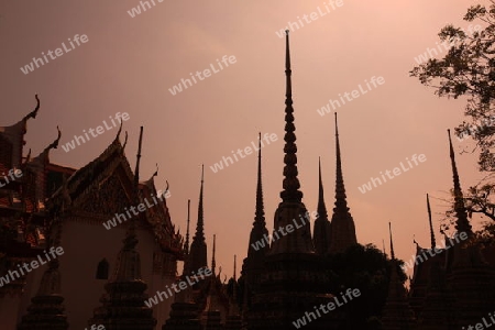 Die Tempelanlage des Wat Pho in Banglamphu in Bangkok der Hauptstadt von Thailand in Suedostasien.