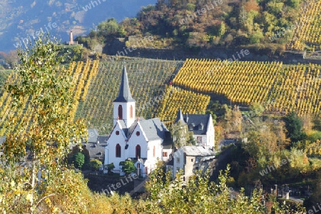 trarbach kirche