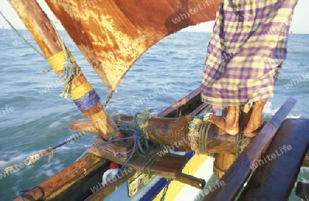 Asien, Indischer Ozean, Sri Lanka,
Ein traditionelles Fischerboot mit Fischern im Kuestendorf Negombo an der Westkueste von Sri Lanka. (URS FLUEELER)






