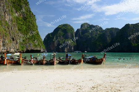 The Maya Beach  near the Ko Phi Phi Island outside of the City of Krabi on the Andaman Sea in the south of Thailand. 