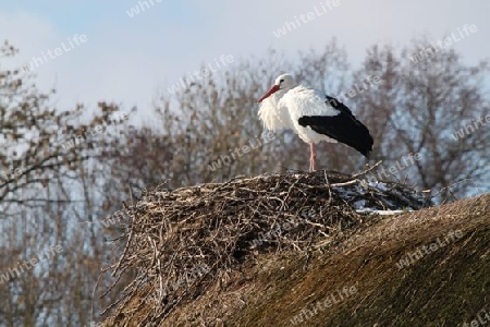 Straubinger Tierpark