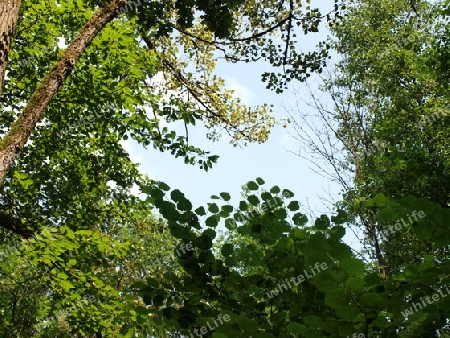 Interesanter Lichtblick