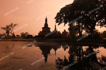 Ein Chedi beim Wat Mahathat Tempel in der Tempelanlage von Alt-Sukhothai in der Provinz Sukhothai im Norden von Thailand in Suedostasien.