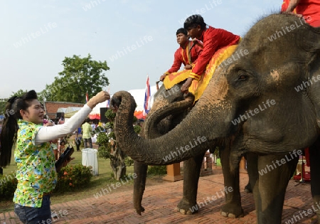 Das Songkran Fest oder Wasserfest zum Thailaendischen Neujahr ist im vollem Gange in Ayutthaya noerdlich von Bangkok in Thailand in Suedostasien.  