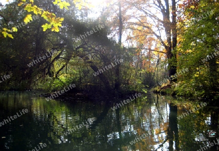 Englischer Garten M?nchen