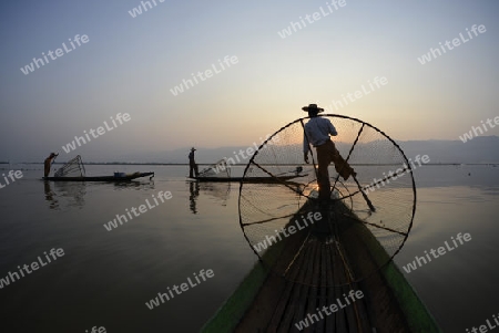 Fishermen at sunrise in the Landscape on the Inle Lake in the Shan State in the east of Myanmar in Southeastasia.