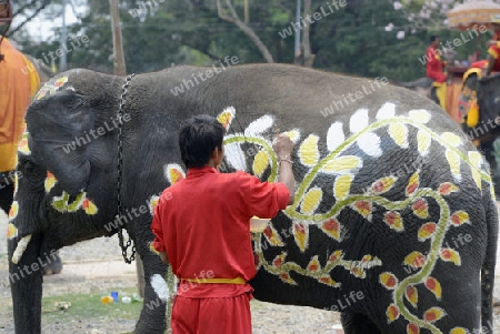 Das Songkran Fest oder Wasserfest zum Thailaendischen Neujahr ist im vollem Gange in Ayutthaya noerdlich von Bangkok in Thailand in Suedostasien.  