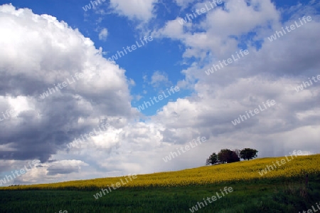 Wolken im Fr?hling