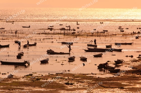 Die Ernte in der Seegrass Plantage auf der Insel Nusa Lembongan der Nachbarinsel von Bali, Indonesien.