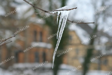 Winter in Jena