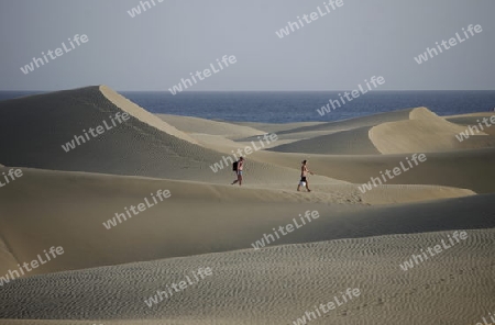 the Sanddunes at the Playa des Ingles in town of Maspalomas on the Canary Island of Spain in the Atlantic ocean.