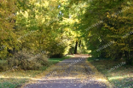 Herbststimmung Neuer Garten