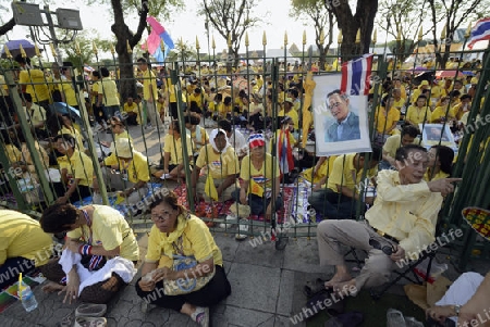 Tausende von Thailaender zelebrieren den Kroenungstag des Koenig Bhumibol auf dem Sanam Luang Park vor dem Wat Phra Kaew in der Stadt Bangkok in Thailand in Suedostasien.  