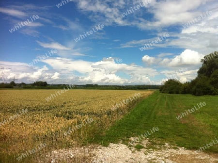 Wolke, Feld, Sommer