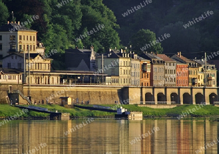 Die Elbe bei K?nigstein