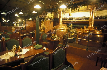 Eine Bierhalle und Restaurant in der Altstadt von Prag der Hauptstadt der Tschechischen Republik.