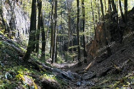 Wolfsschlucht, Sonnenberg Kriens