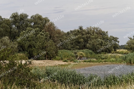 Nationalpark Unteres Odertal