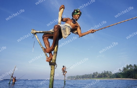 Asien, Indischer Ozean, Sri Lanka,
Traditionelle Fischer sogenannte Stelzenfischer beim Fischen in der naehe des Kuestendorf Ahangama an der Suedkueste von Sri Lanka. (URS FLUEELER)






